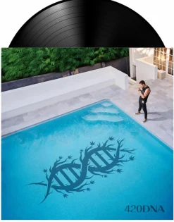 Chillinit - 420DNA LP Vinyl Record