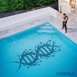 Chillinit - 420DNA LP Vinyl Record