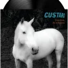 Custard - Come Back, All Is Forgiven LP Vinyl Record