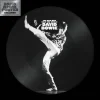 David Bowie - The Man Who Sold The World LP Vinyl Record (Picture Disc)