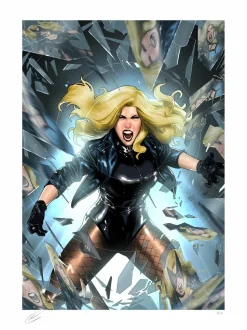 DC Comics - Black Canary Fine Art Print by Taurin Clarke