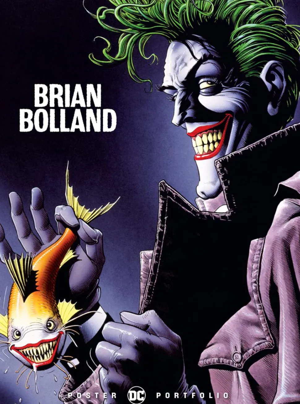 DC Comics - DC Poster Portfolio: Brian Bolland Paperback Book