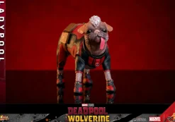 Deadpool & Wolverine (2024) - Ladypool 1/6th Scale Hot Toys Action Figure