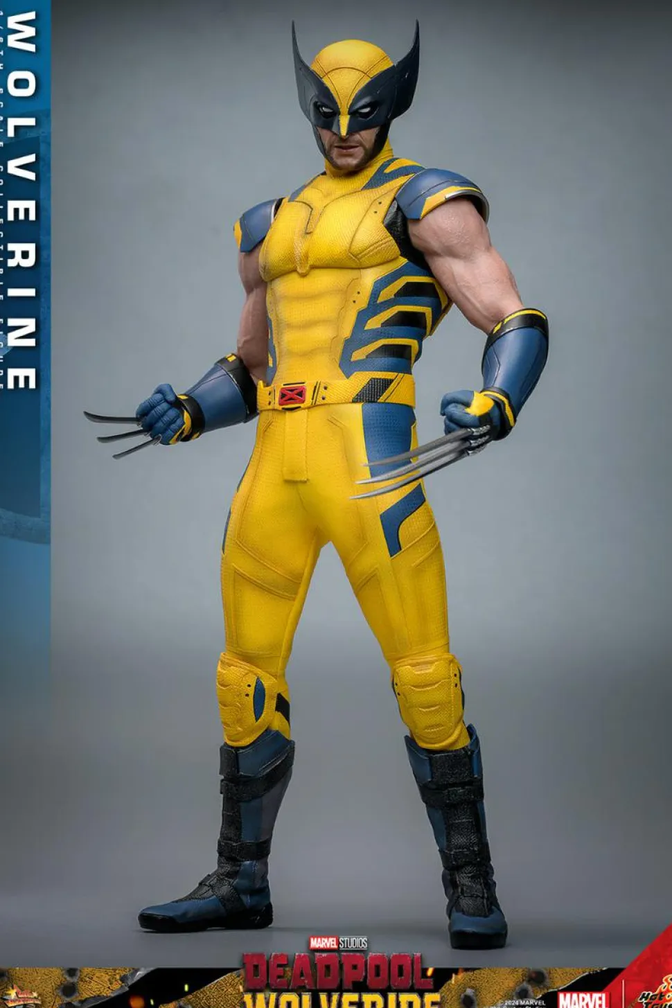 Deadpool & Wolverine (2024) - Wolverine 1/6th Scale Hot Toys Action Figure