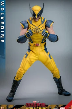 Deadpool & Wolverine (2024) - Wolverine 1/6th Scale Hot Toys Action Figure