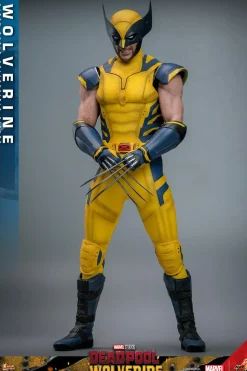 Deadpool & Wolverine (2024) - Wolverine 1/6th Scale Hot Toys Action Figure