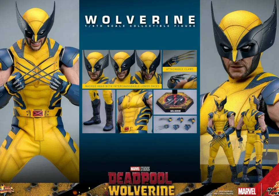 Deadpool & Wolverine (2024) - Wolverine 1/6th Scale Hot Toys Action Figure