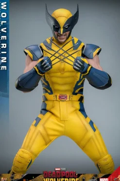 Deadpool & Wolverine (2024) - Wolverine 1/6th Scale Hot Toys Action Figure