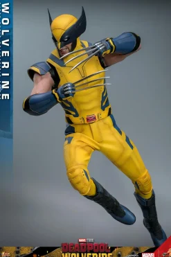 Deadpool & Wolverine (2024) - Wolverine 1/6th Scale Hot Toys Action Figure