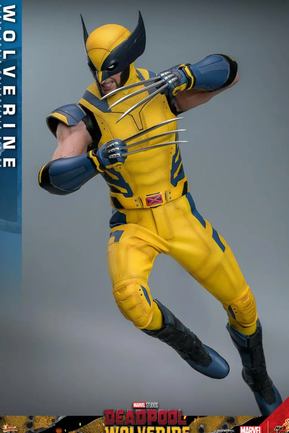 Deadpool & Wolverine (2024) - Wolverine 1/6th Scale Hot Toys Action Figure