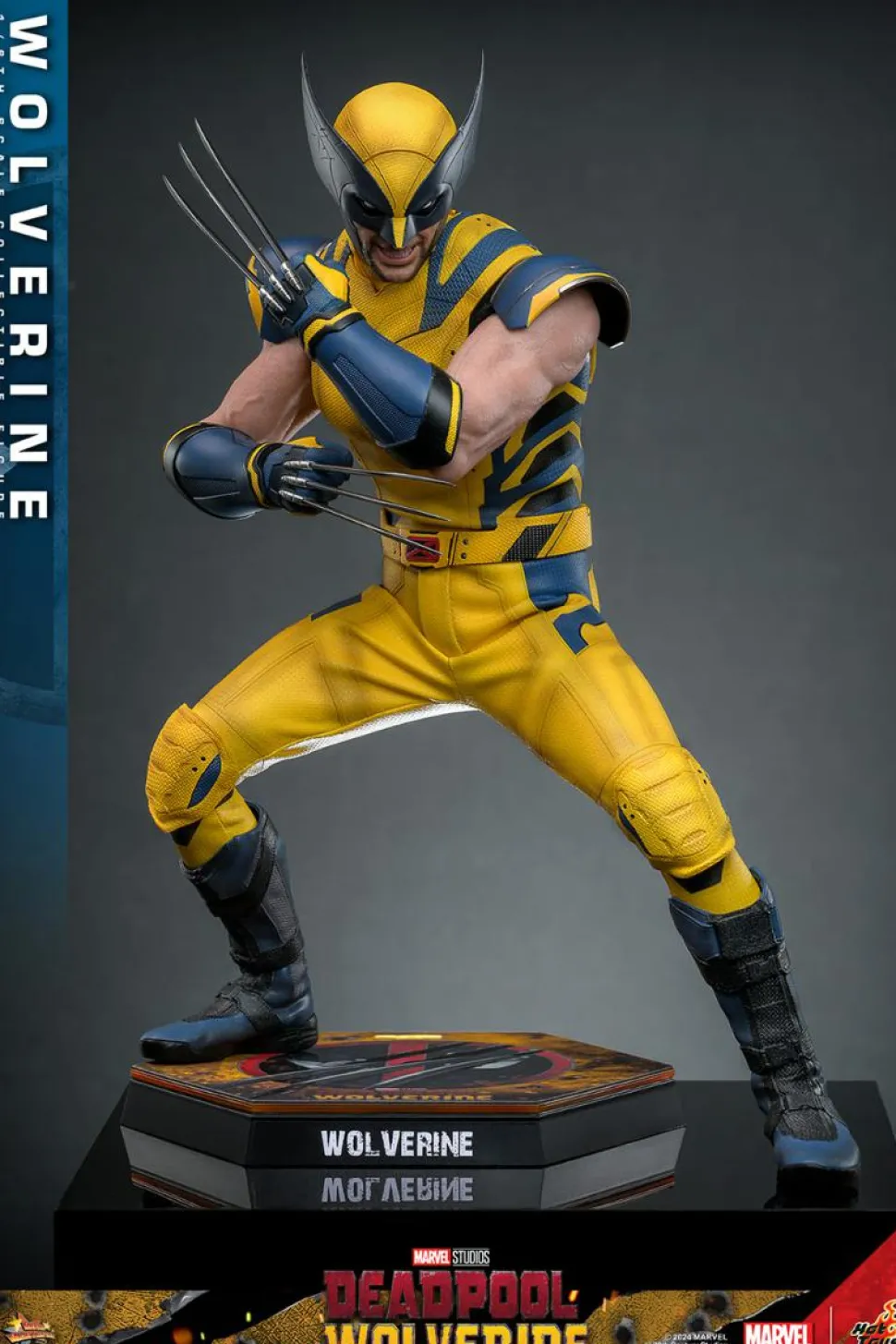 Deadpool & Wolverine (2024) - Wolverine 1/6th Scale Hot Toys Action Figure