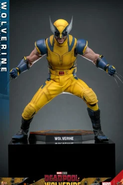 Deadpool & Wolverine (2024) - Wolverine 1/6th Scale Hot Toys Action Figure