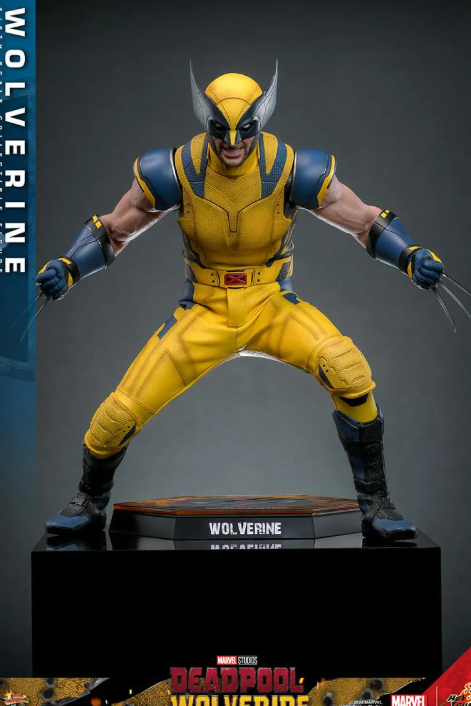 Deadpool & Wolverine (2024) - Wolverine 1/6th Scale Hot Toys Action Figure