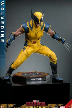 Deadpool & Wolverine (2024) - Wolverine 1/6th Scale Hot Toys Action Figure