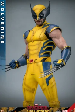 Deadpool & Wolverine (2024) - Wolverine 1/6th Scale Hot Toys Action Figure