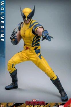 Deadpool & Wolverine (2024) - Wolverine 1/6th Scale Hot Toys Action Figure