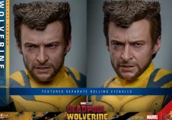 Deadpool & Wolverine (2024) - Wolverine Deluxe 1/6th Scale Hot Toys Action Figure