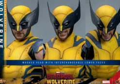 Deadpool & Wolverine (2024) - Wolverine Deluxe 1/6th Scale Hot Toys Action Figure