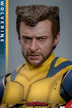 Deadpool & Wolverine (2024) - Wolverine Deluxe 1/6th Scale Hot Toys Action Figure