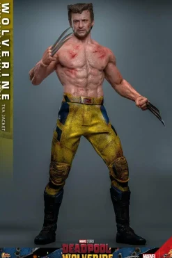 Deadpool & Wolverine (2024) - Wolverine (TVA Jacket Version) 1/6th Scale Hot Toys Action Figure