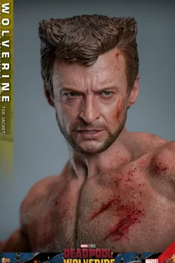 Deadpool & Wolverine (2024) - Wolverine (TVA Jacket Version) 1/6th Scale Hot Toys Action Figure