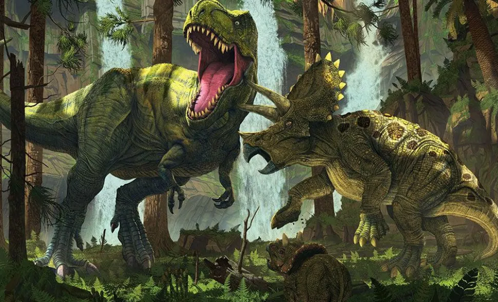 Dinosaurs - Protection Fine Art Print Vincent Hie