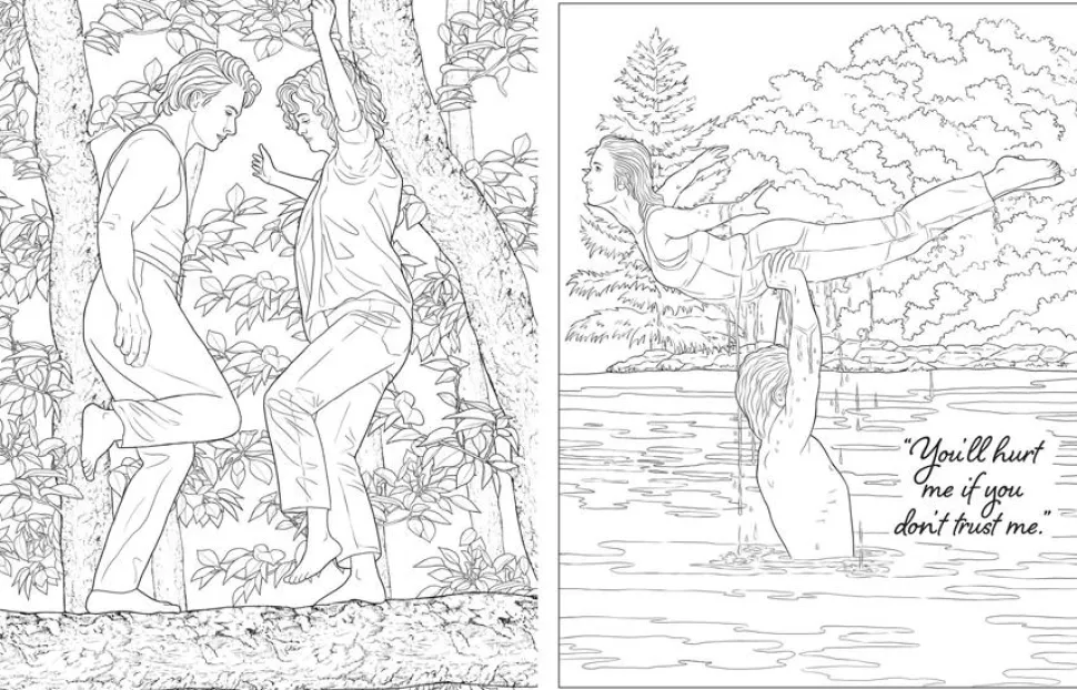 Dirty Dancing - The Official Colouring Book Paperback Book