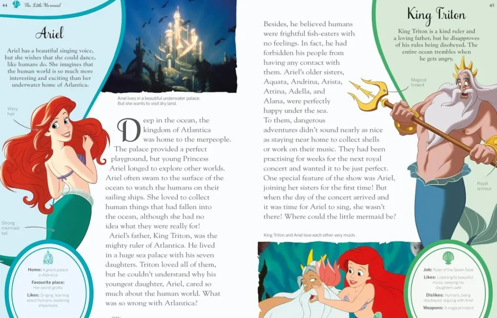Disney Princess - Enchanted Character Guide Hardcover Book