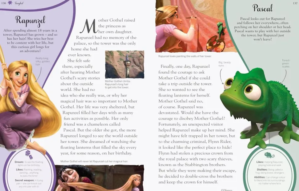 Disney Princess - Enchanted Character Guide Hardcover Book