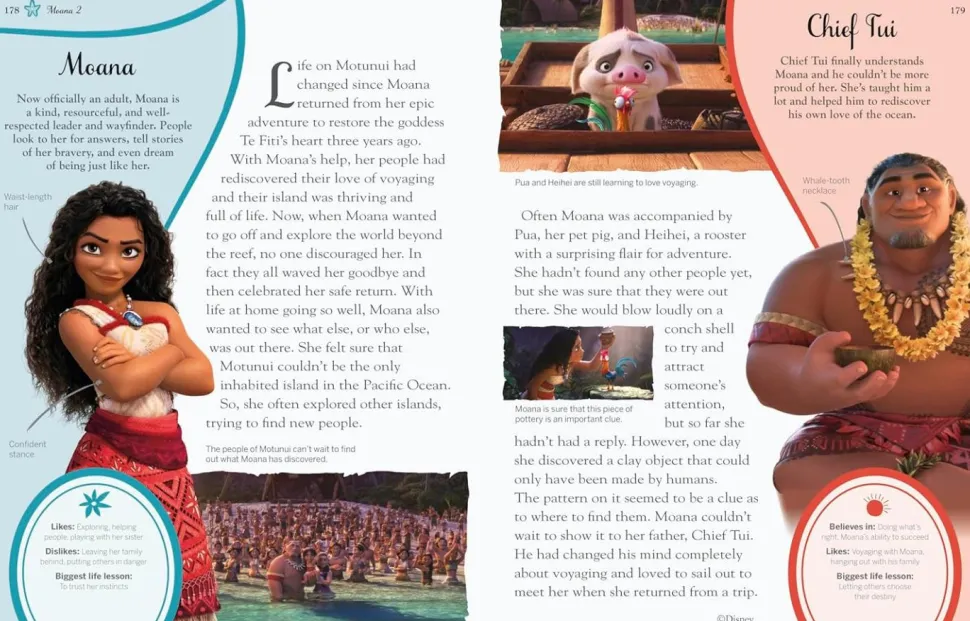 Disney Princess - Enchanted Character Guide Hardcover Book