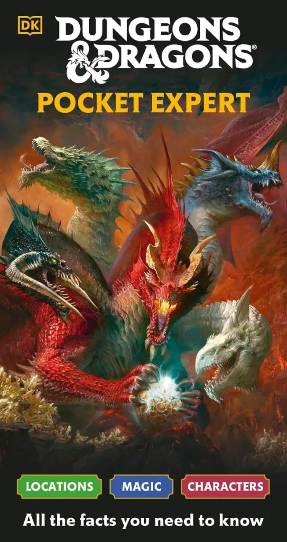 Dungeons & Dragons - Pocket Expert Paperback book
