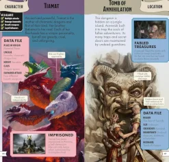 Dungeons & Dragons - Pocket Expert Paperback book