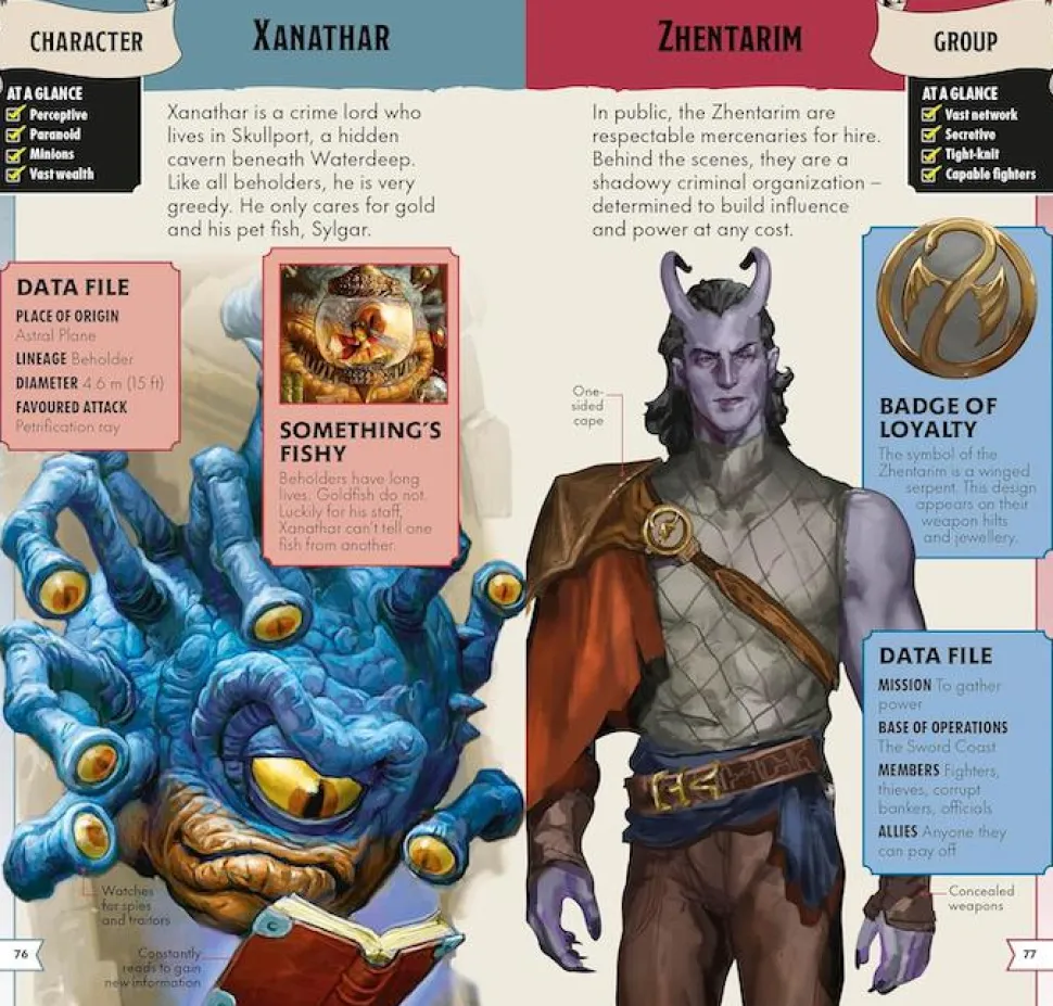 Dungeons & Dragons - Pocket Expert Paperback book