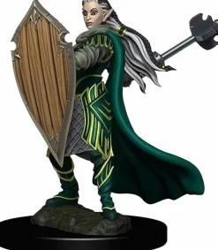 Dungeons & Dragons - Premium Elf Paladin Female Miniature