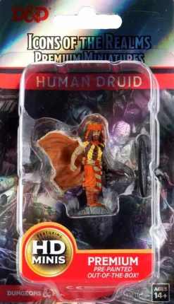 Dungeons & Dragons - Premium Human Druid Male Miniature