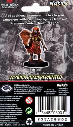 Dungeons & Dragons - Premium Human Druid Male Miniature