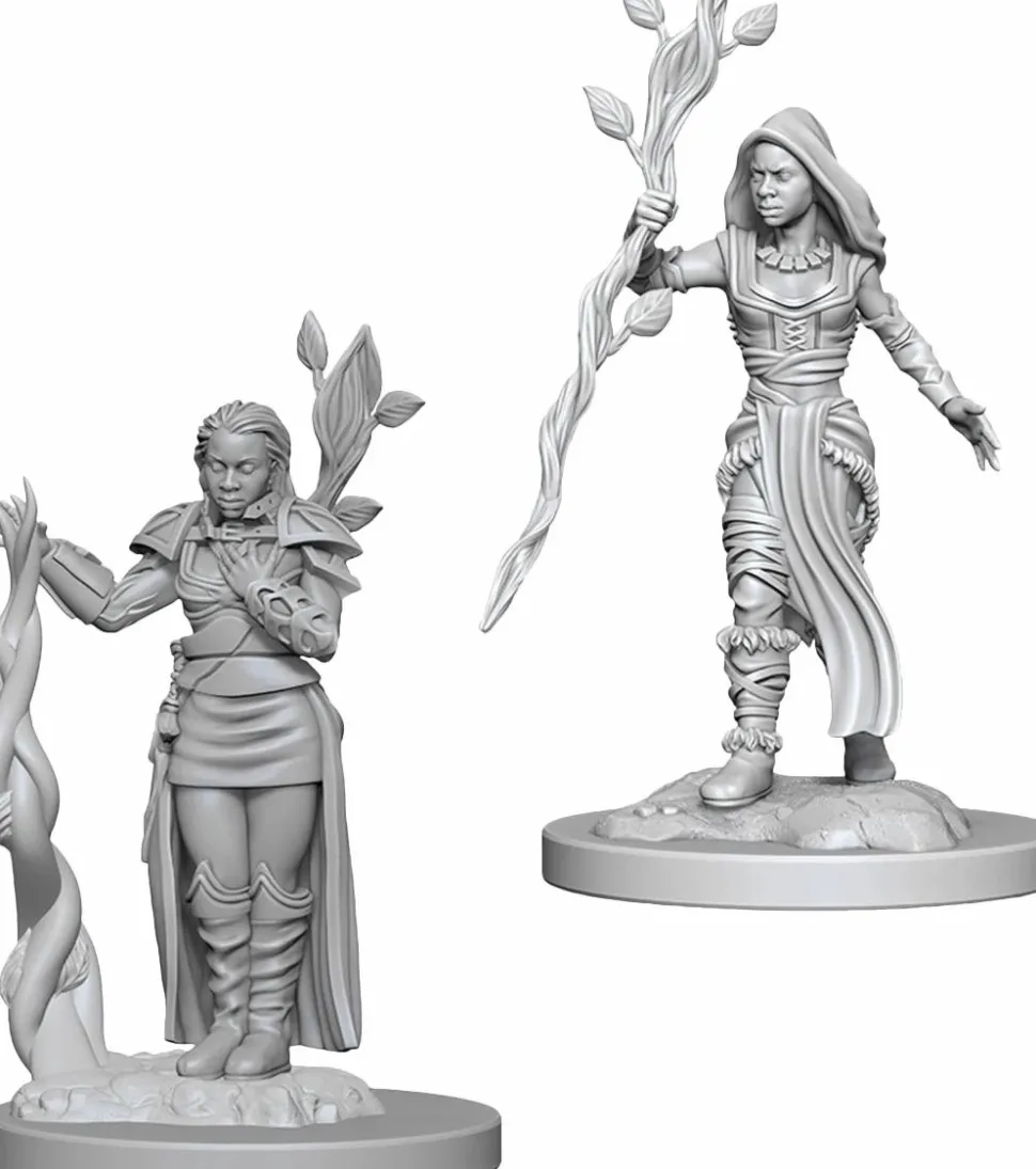 Dungeons and Dragons - Nolzur’s Marvelous Unpainted Mini’s Human Female Druid Miniature Figure 2-Pack