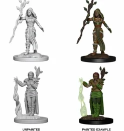 Dungeons and Dragons - Nolzur’s Marvelous Unpainted Mini’s Human Female Druid Miniature Figure 2-Pack