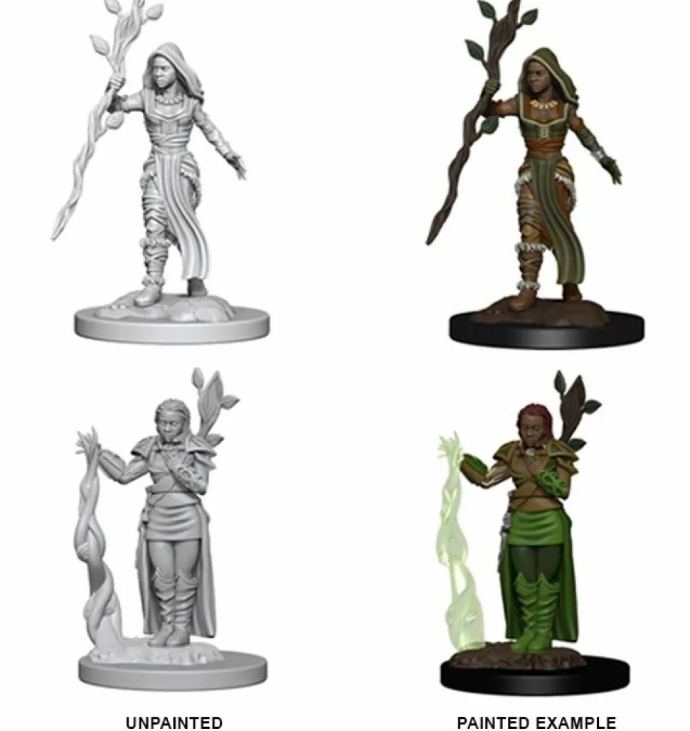 Dungeons and Dragons - Nolzur’s Marvelous Unpainted Mini’s Human Female Druid Miniature Figure 2-Pack