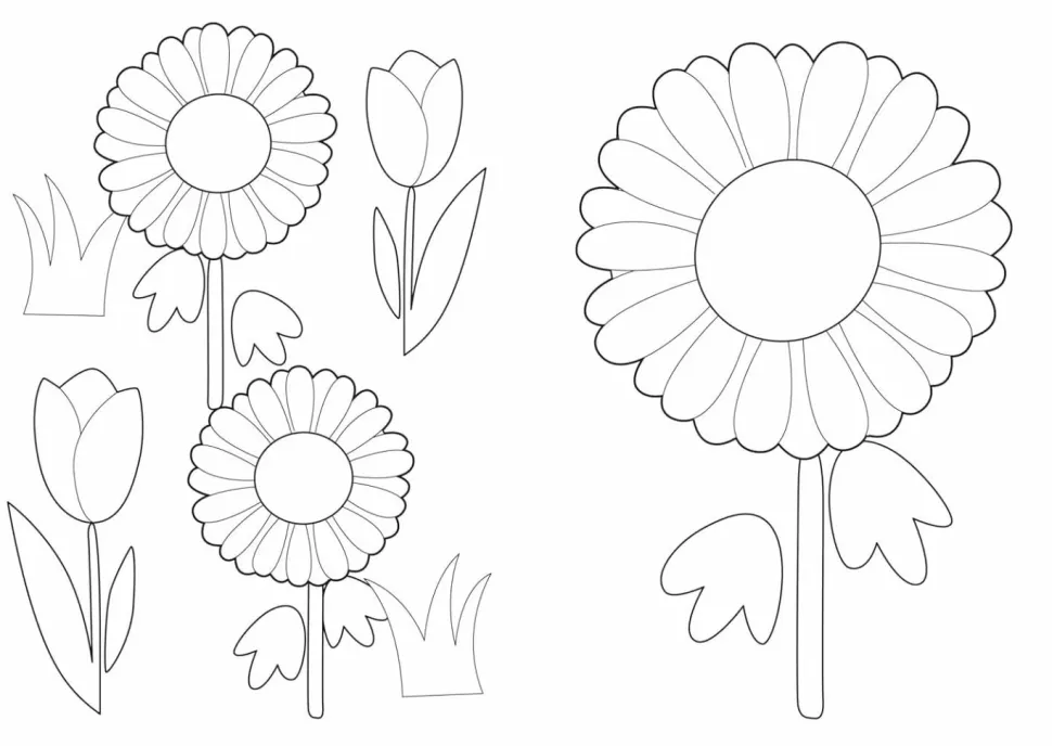 Emma Memma - Colouring Book Paperback Book