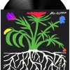 Ex-Olympian - Afterlife LP Vinyl Record
