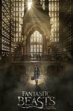 Fantastic Beasts and Where to Find Them - Teaser Poster (936)
