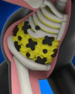 Felix the Cat - Felix the Cat XXRAY Plus 8