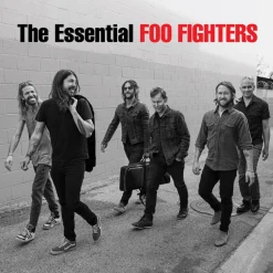 Foo Fighters - The Essential Foo Fighters 2xLP Vinyl Record