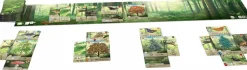 Forest Shuffle - Card Game