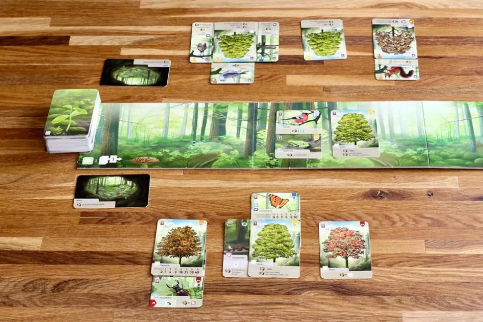 Forest Shuffle - Card Game