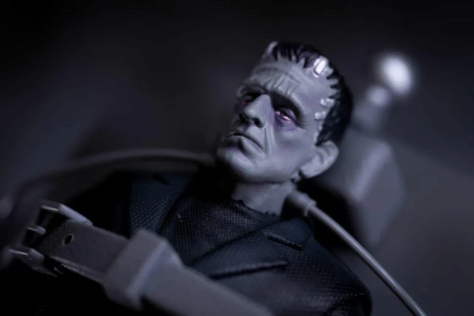 Frankenstein (1931) - The Monster Deluxe 6” Action Figure Box Set