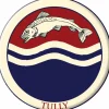 Game of Thrones - Tully Patch