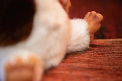 Gremlins - Gizmo with Mogwai Box Scaled Replica