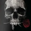 Guns N' Roses - Guns N' Roses x Primitive Don't Cry Lemos 8.25" Skateboard Deck (Deck Only)